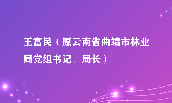 王富民（原云南省曲靖市林业局党组书记、局长）