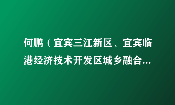 何鹏（宜宾三江新区、宜宾临港经济技术开发区城乡融合发展局局长，宜宾三江新区生态环境局局长）