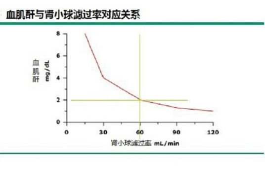 血肌酐