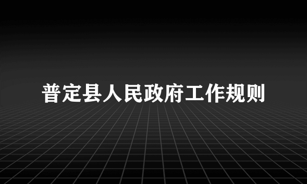 普定县人民政府工作规则