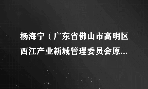 杨海宁（广东省佛山市高明区西江产业新城管理委员会原副主任）