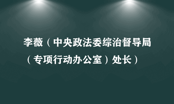 李薇（中央政法委综治督导局（专项行动办公室）处长）