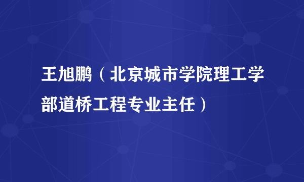 王旭鹏（北京城市学院理工学部道桥工程专业主任）