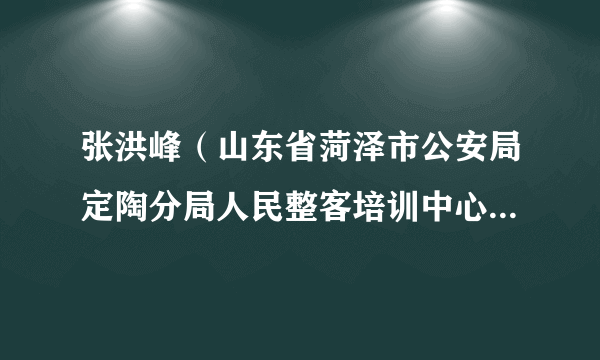 张洪峰（山东省菏泽市公安局定陶分局人民整客培训中心民警（马集派出所社区民警））