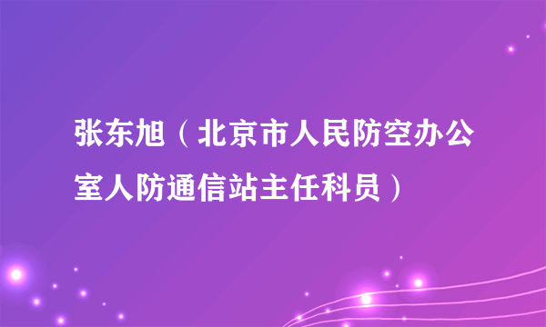 张东旭（北京市人民防空办公室人防通信站主任科员）