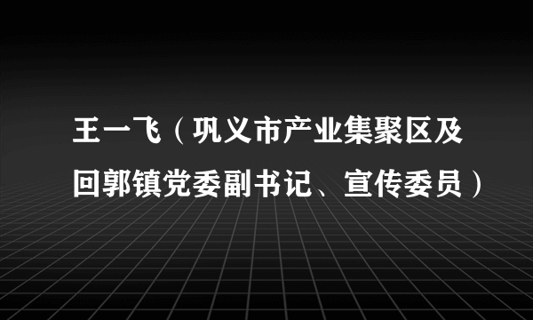 王一飞（巩义市产业集聚区及回郭镇党委副书记、宣传委员）