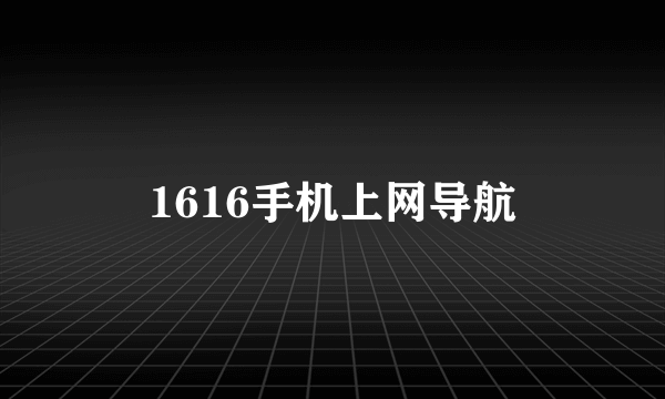 1616手机上网导航