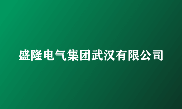 盛隆电气集团武汉有限公司