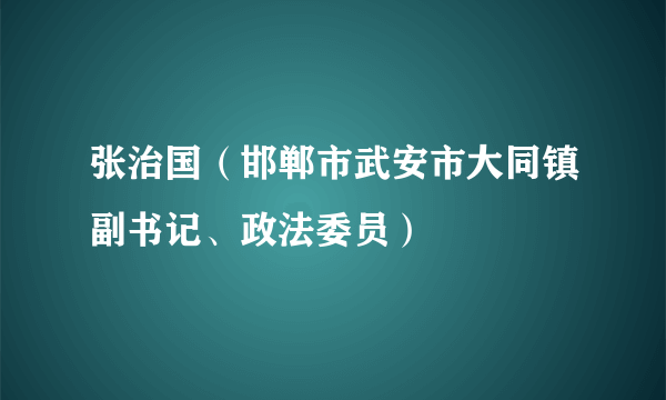 张治国（邯郸市武安市大同镇副书记、政法委员）