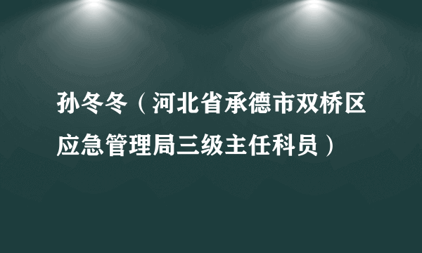 孙冬冬（河北省承德市双桥区应急管理局三级主任科员）