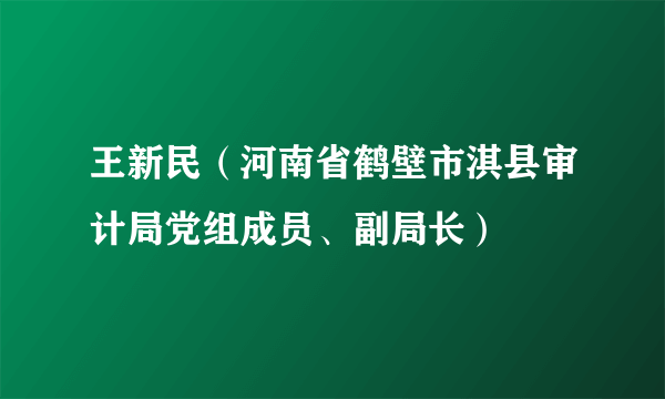 王新民（河南省鹤壁市淇县审计局党组成员、副局长）