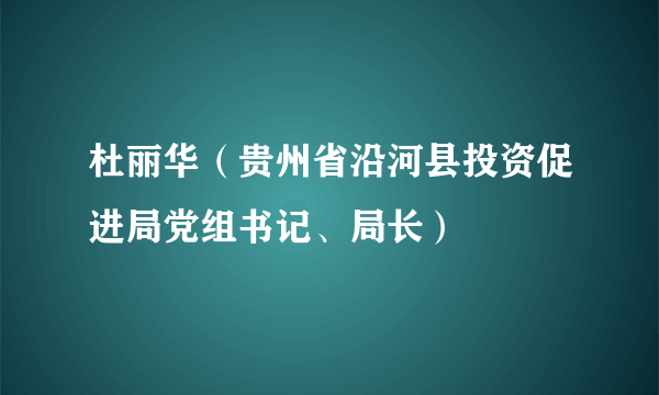 杜丽华（贵州省沿河县投资促进局党组书记、局长）