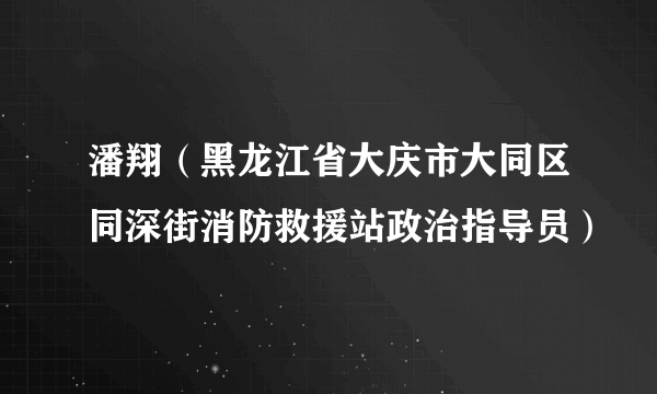 潘翔（黑龙江省大庆市大同区同深街消防救援站政治指导员）