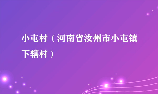 小屯村（河南省汝州市小屯镇下辖村）