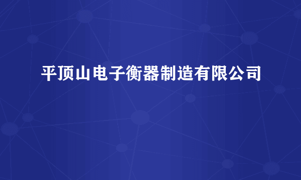 平顶山电子衡器制造有限公司