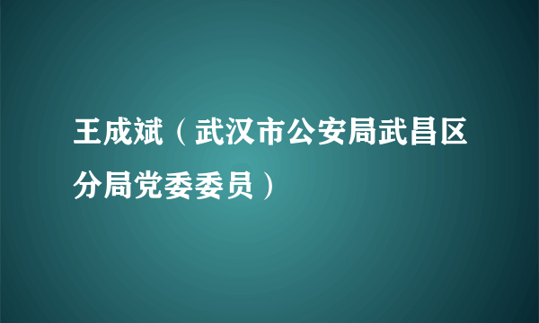 王成斌（武汉市公安局武昌区分局党委委员）