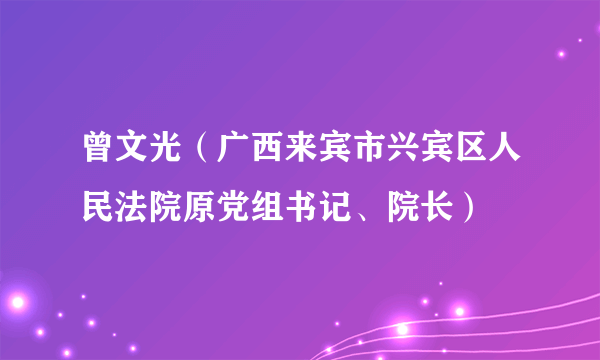 曾文光（广西来宾市兴宾区人民法院原党组书记、院长）