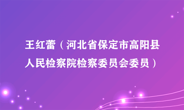 王红蕾（河北省保定市高阳县人民检察院检察委员会委员）