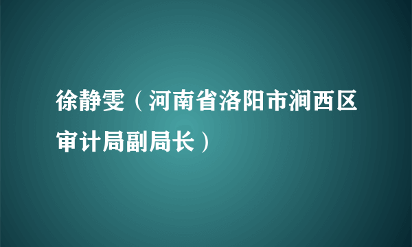 徐静雯（河南省洛阳市涧西区审计局副局长）