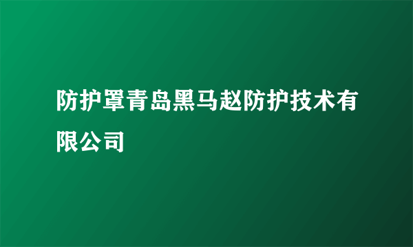 防护罩青岛黑马赵防护技术有限公司