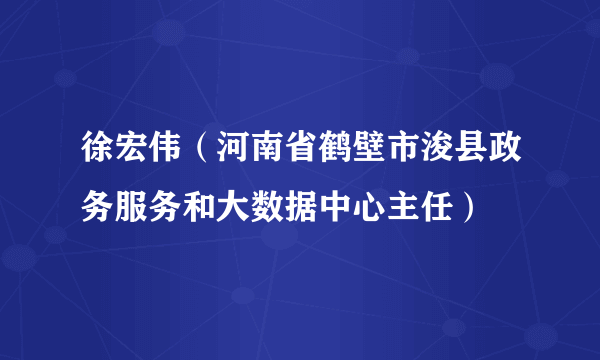 徐宏伟（河南省鹤壁市浚县政务服务和大数据中心主任）