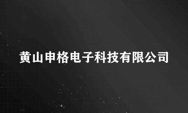 黄山申格电子科技有限公司