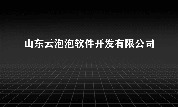 山东云泡泡软件开发有限公司