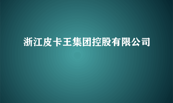 浙江皮卡王集团控股有限公司