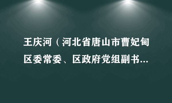 王庆河（河北省唐山市曹妃甸区委常委、区政府党组副书记、曹妃甸区人民政府常务副区长）