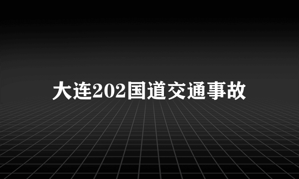 大连202国道交通事故