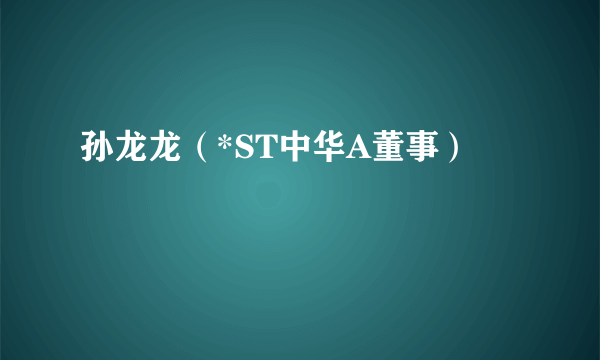 孙龙龙（*ST中华A董事）