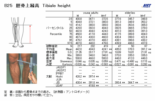 胫骨点高