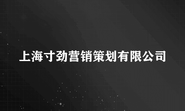 上海寸劲营销策划有限公司