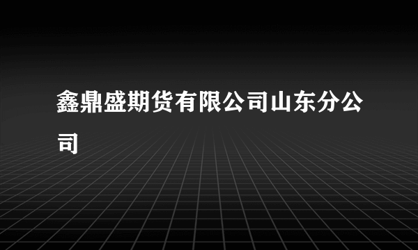 鑫鼎盛期货有限公司山东分公司