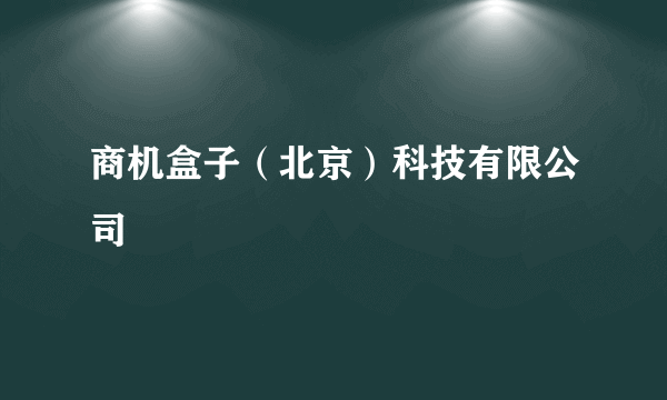 商机盒子（北京）科技有限公司