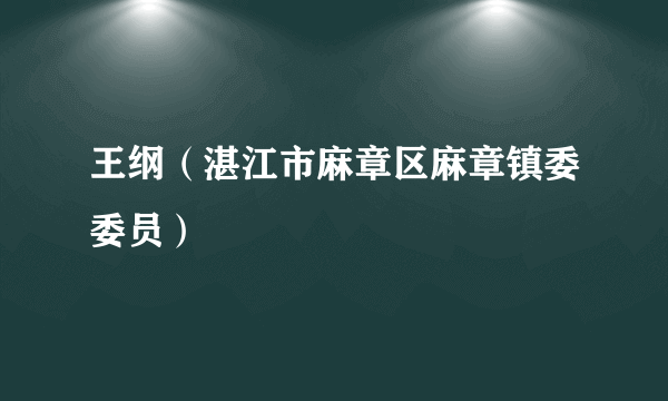 王纲（湛江市麻章区麻章镇委委员）