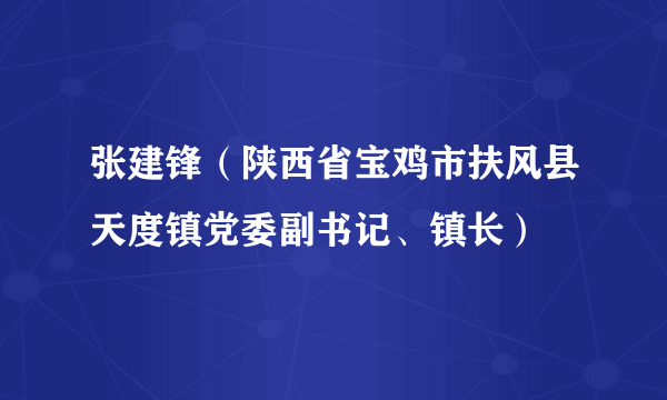 张建锋（陕西省宝鸡市扶风县天度镇党委副书记、镇长）