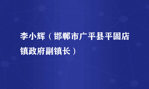 李小辉（邯郸市广平县平固店镇政府副镇长）