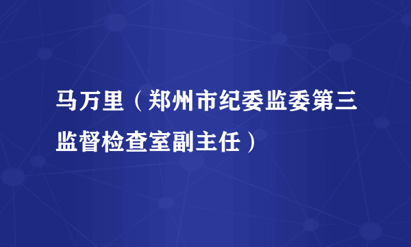 马万里（郑州市纪委监委第三监督检查室副主任）