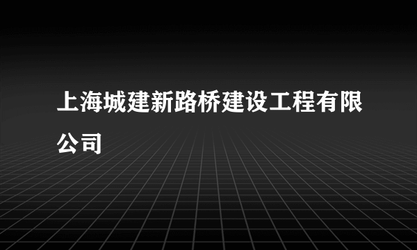 上海城建新路桥建设工程有限公司