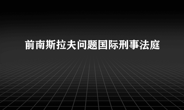 前南斯拉夫问题国际刑事法庭