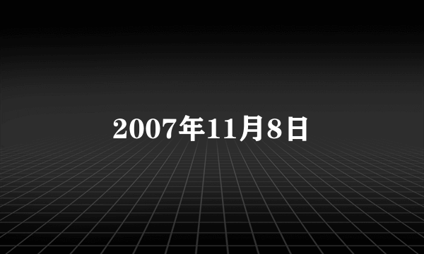 2007年11月8日