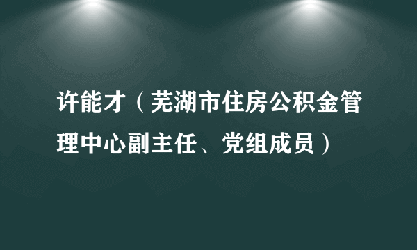 许能才（芜湖市住房公积金管理中心副主任、党组成员）