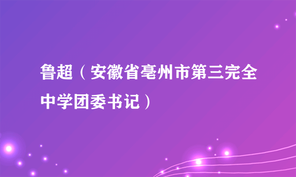 鲁超（安徽省亳州市第三完全中学团委书记）