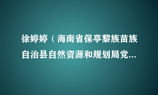 徐婷婷（海南省保亭黎族苗族自治县自然资源和规划局党组成员、副局长）