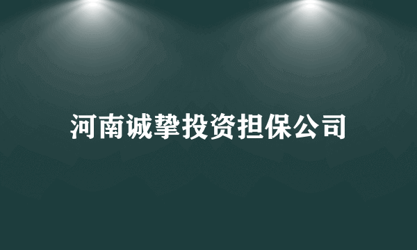 河南诚挚投资担保公司