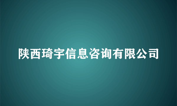 陕西琦宇信息咨询有限公司