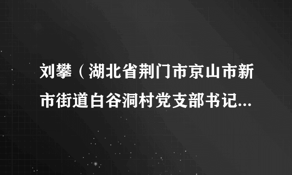 刘攀（湖北省荆门市京山市新市街道白谷洞村党支部书记、村委会主任）