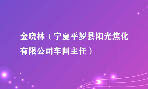 金晓林（宁夏平罗县阳光焦化有限公司车间主任）