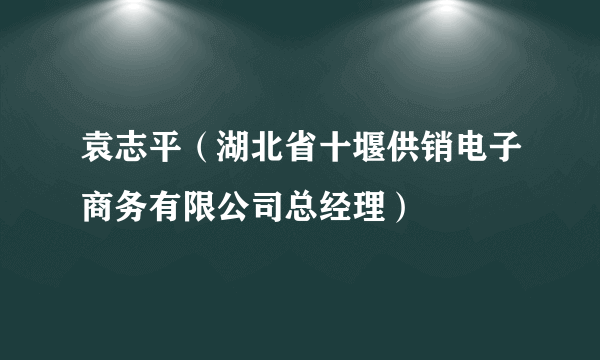 袁志平（湖北省十堰供销电子商务有限公司总经理）